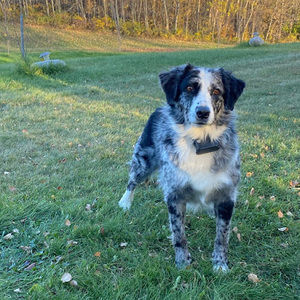 Meet your Posher, Aaron